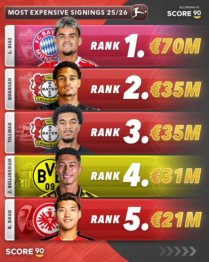 开云下载网址-今夏德甲TOP5引援：拜仁7000万欧签迪亚斯居首 药厂2席堂安律上榜